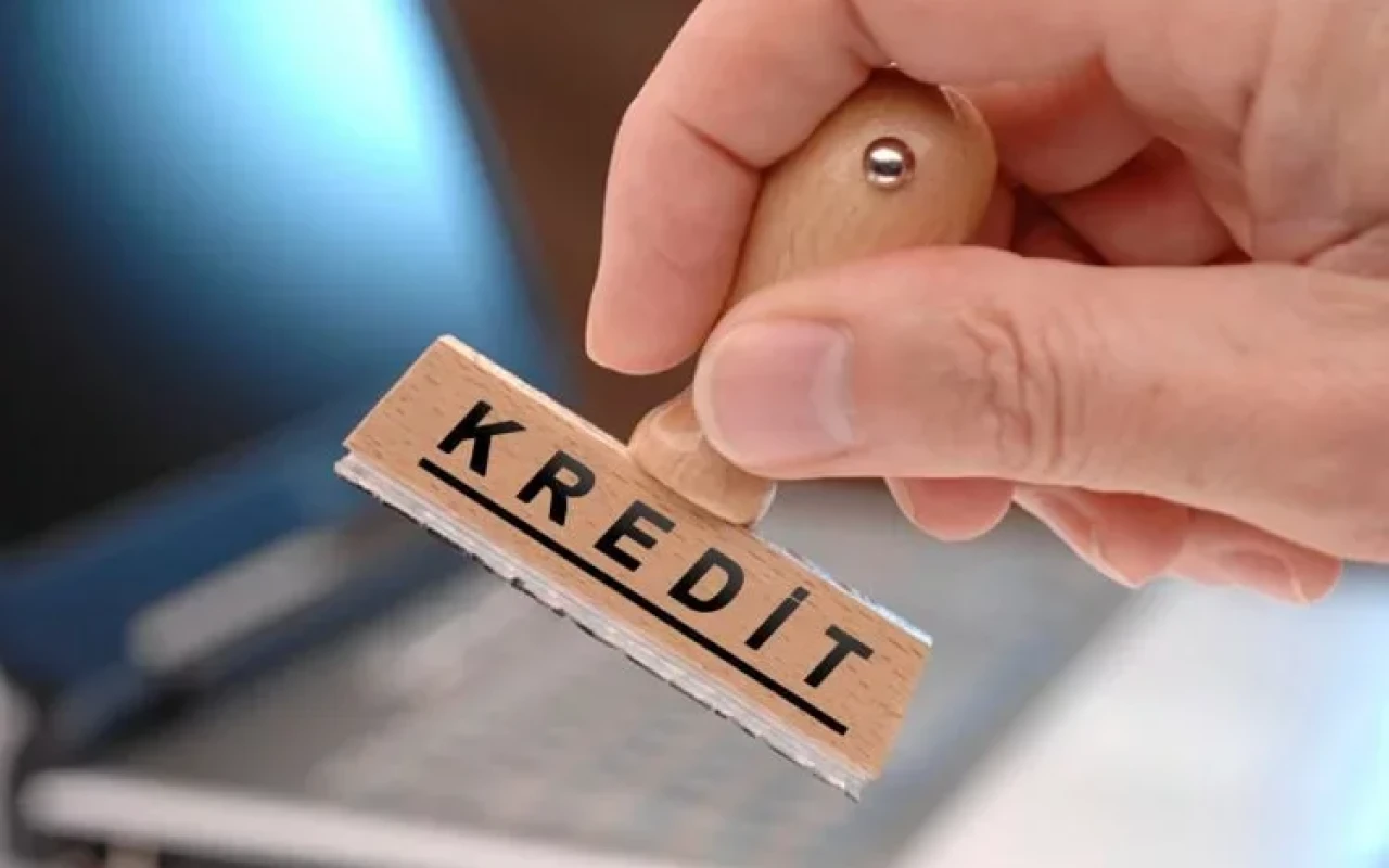Komitə sədri problemli kreditlərdən danışdı - 42 faiz artıb